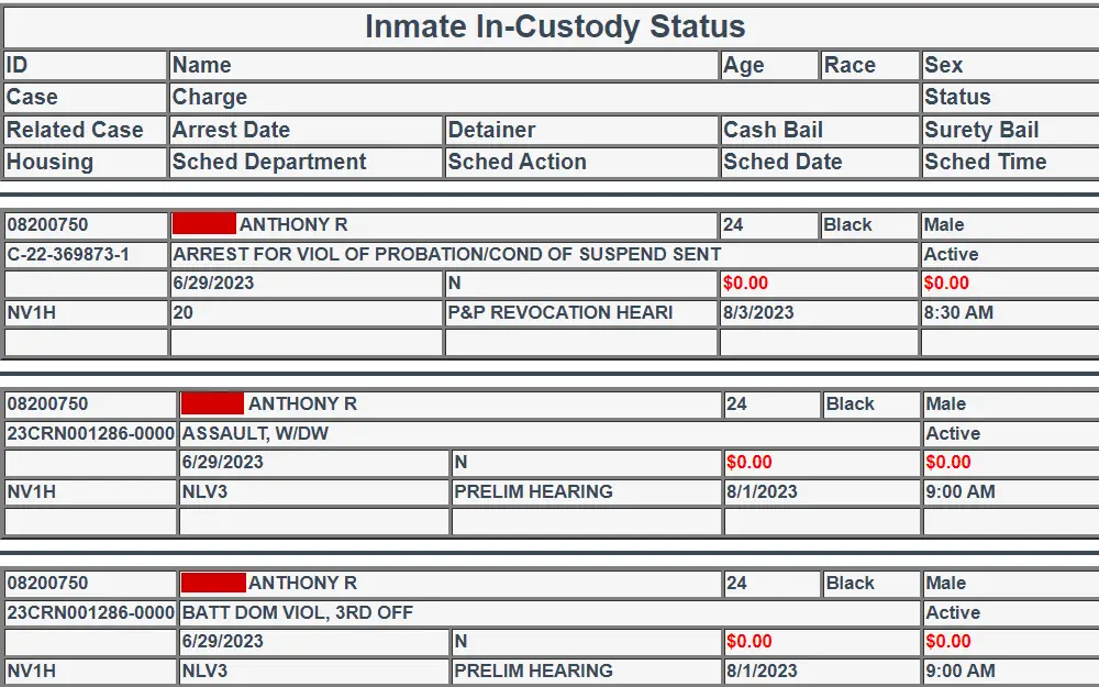 A screenshot of the CCDC inmate search tool that can be used to search incarcerated adults by last name.