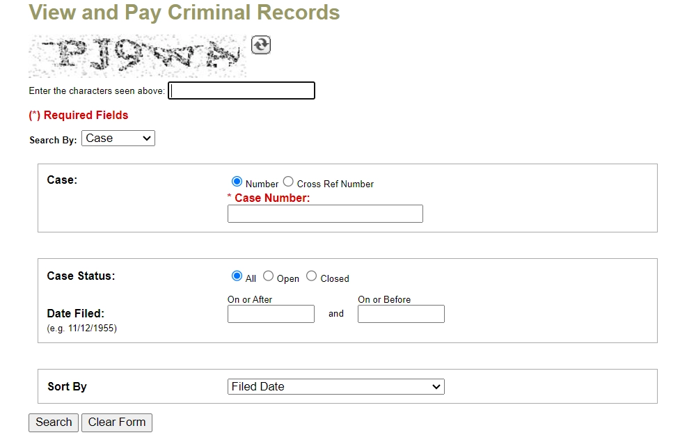A screenshot from the Las Vegas Township Justice Court search tool displays the required fields to search including case number and status, with an option to filter the result by date. 